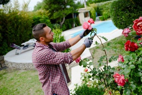 Gardener mowing a small suburban front lawn in Sanderstead