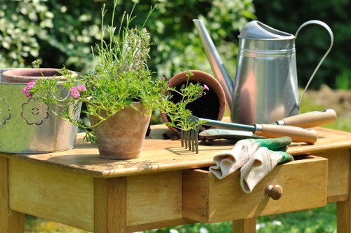 Beautifully maintained deck with outdoor furniture and lighting
