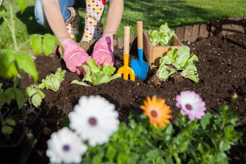 Healthy green lawn maintained by experts