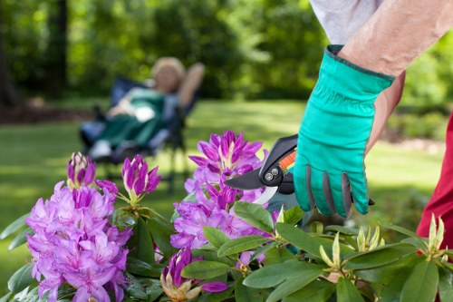 Customer documenting grass cutting concern with a photo
