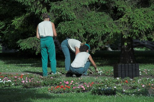Lawn maintenance team working in Sanderstead