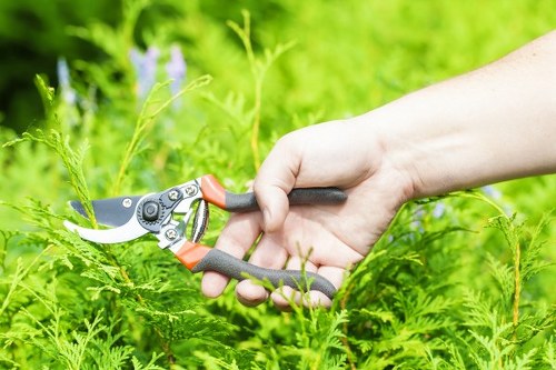 Choosing the right lawn mowing service in Sanderstead
