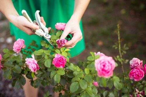 Eco-friendly garden clearance practices