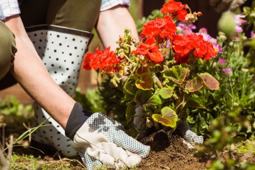 Healthy green grass maintained by experts