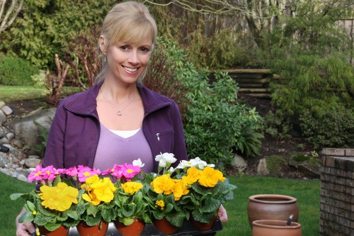 Maintaining a healthy garden with proper pruning