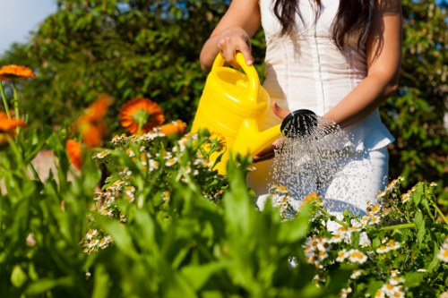 Seasonal garden maintenance in Sanderstead