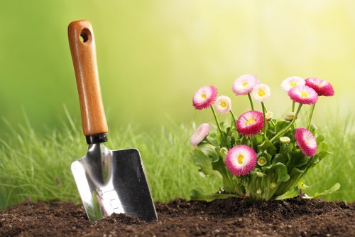 Eco-friendly lawn care practices for a healthy garden in Sanderstead